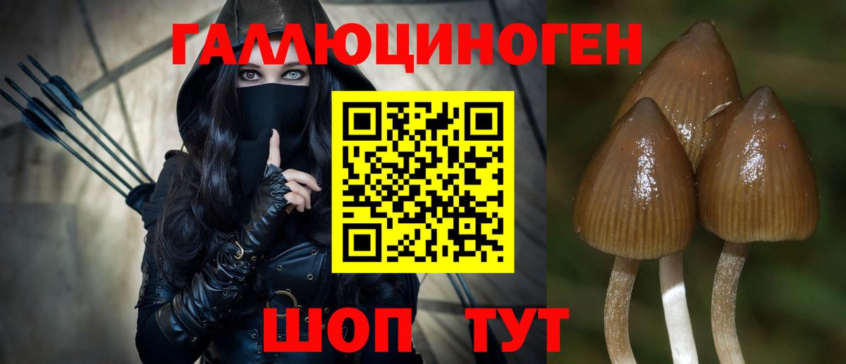 Фрязино  Псилоцибиновые грибы мицелий  Псилоцибиновые грибы Magic Shrooms  Вход с VPN 